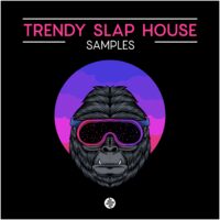 Trendy Slap House