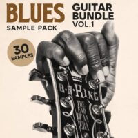 Blues Guitar Bundle Vol.1