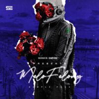 Melo Felony