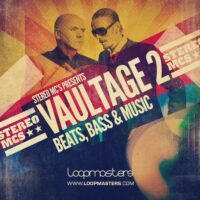 Stereo MCs Presents Vaultage 2