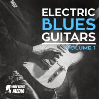 Electric Blues Guitars 1