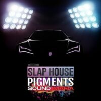 Slap House Pigments
