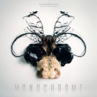 SampleTraxx Monochrome