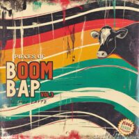 Pieces of Boom Bap Vol 3