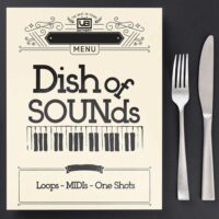 Dish Of Sounds