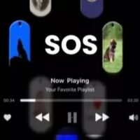 Yukisx Ysx Sos Kit
