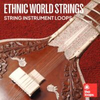 Ethnic World Strings