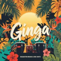 Ginga Reggaeton Drums and One Shots
