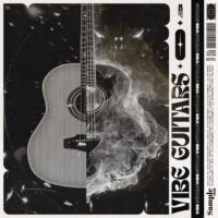 Vibe Guitars 3