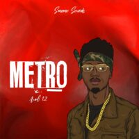 Metro Vol 12