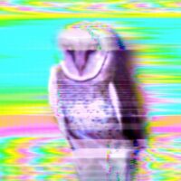 4th Kind Drum Loops