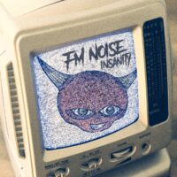 Fm Noise Insanity