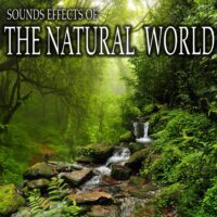Sound Effects Of The Natural World