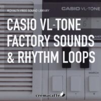 Casio VL 1 Factory Sounds and Rhythm Loops