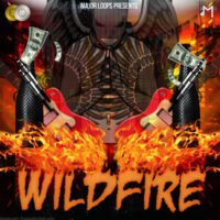 Wildfire